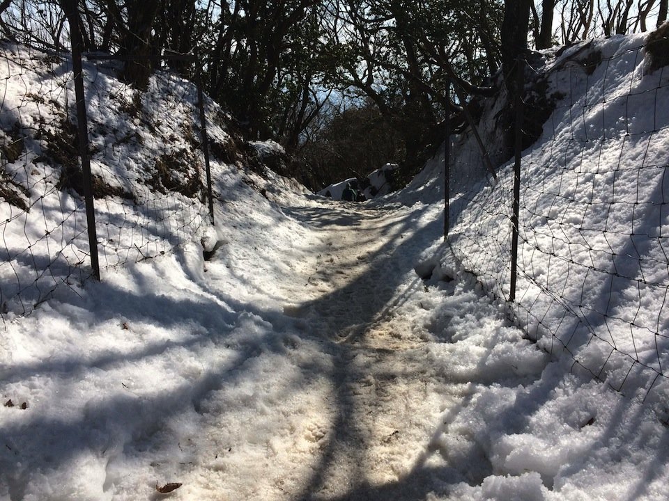 雪の残る山道
