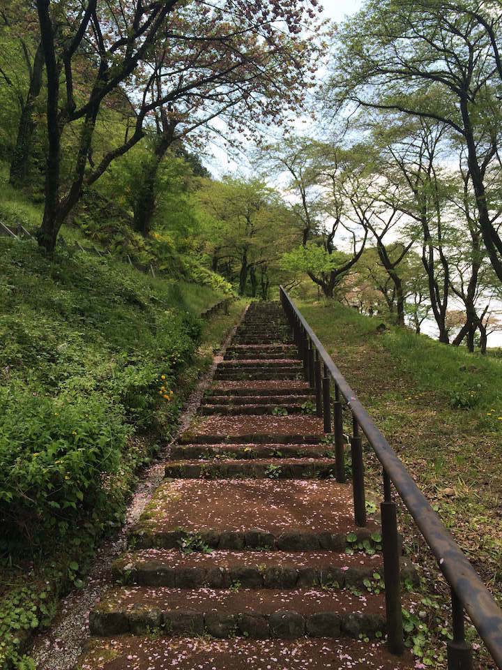 城山公園の階段