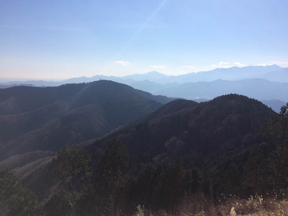 景信山から高尾山を眺める
