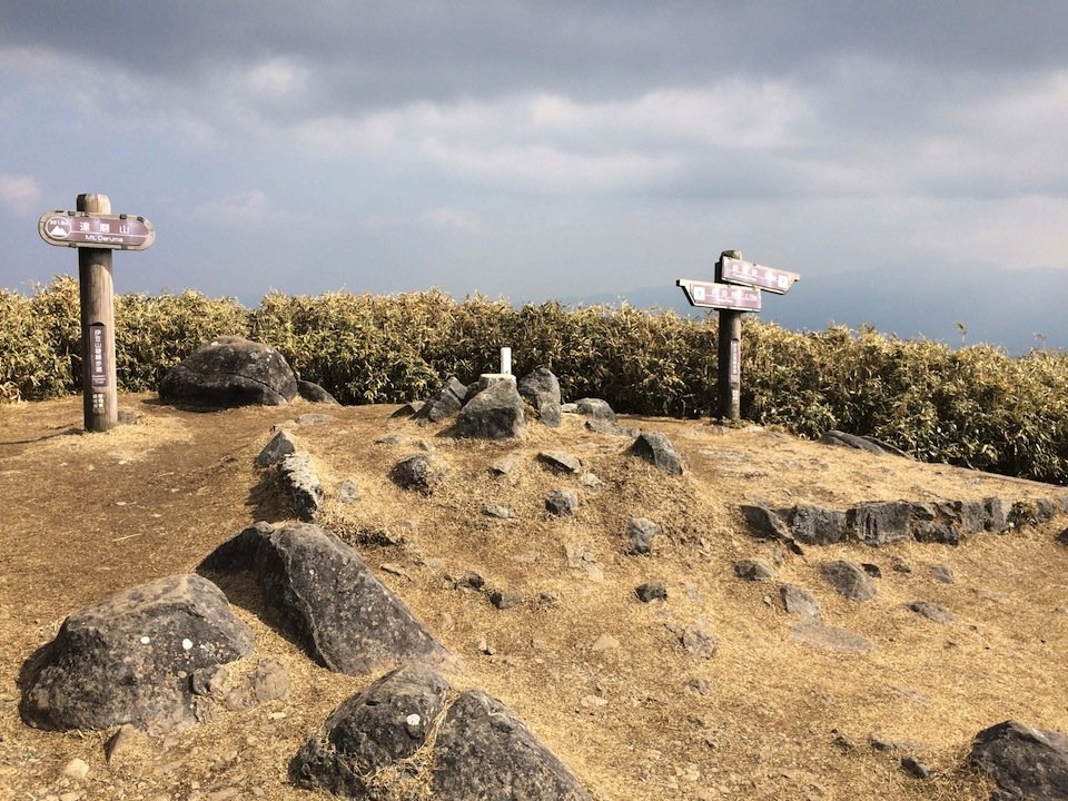 達磨山の山頂