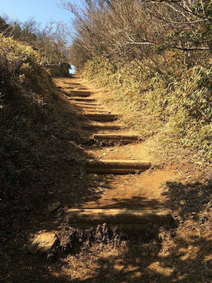 金冠山へ続く階段