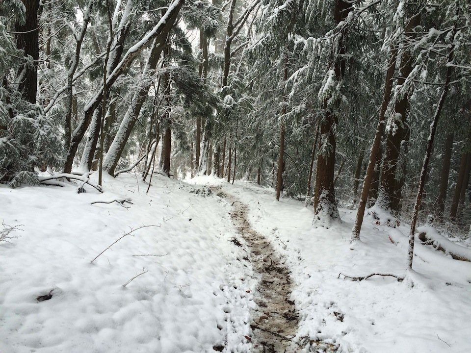 雪に覆われた尾根道