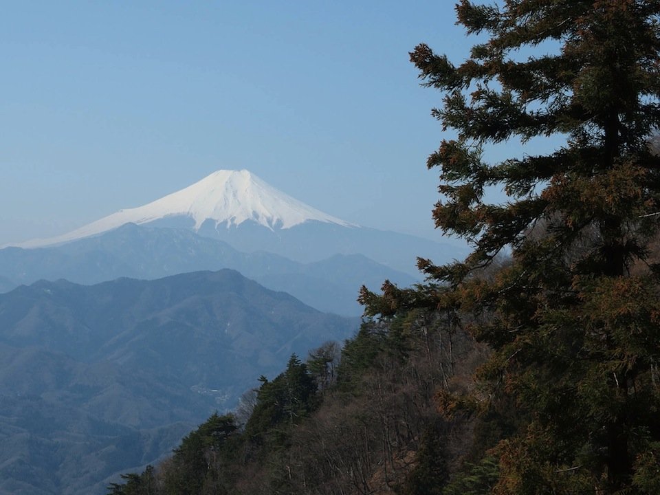 扇山から富士山を望む