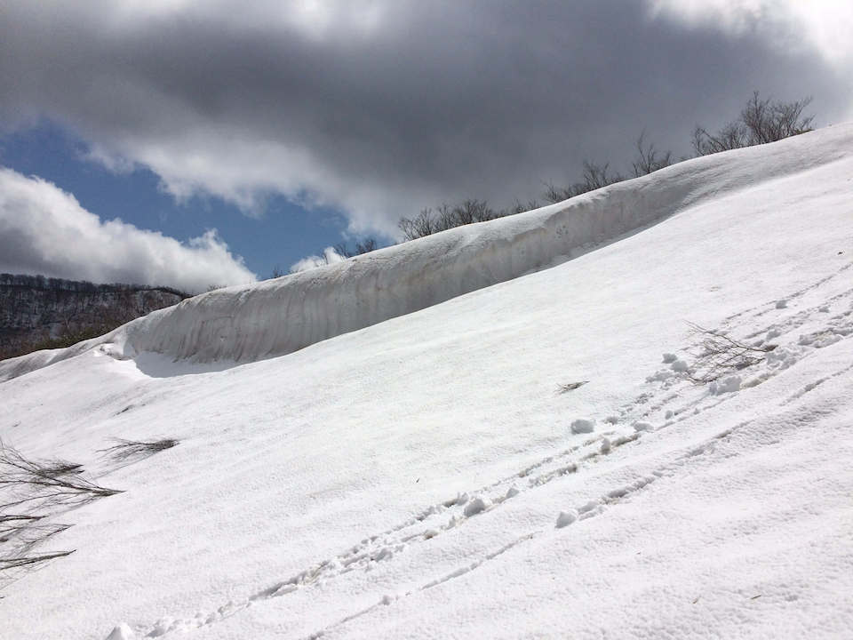 雪の残る登山道