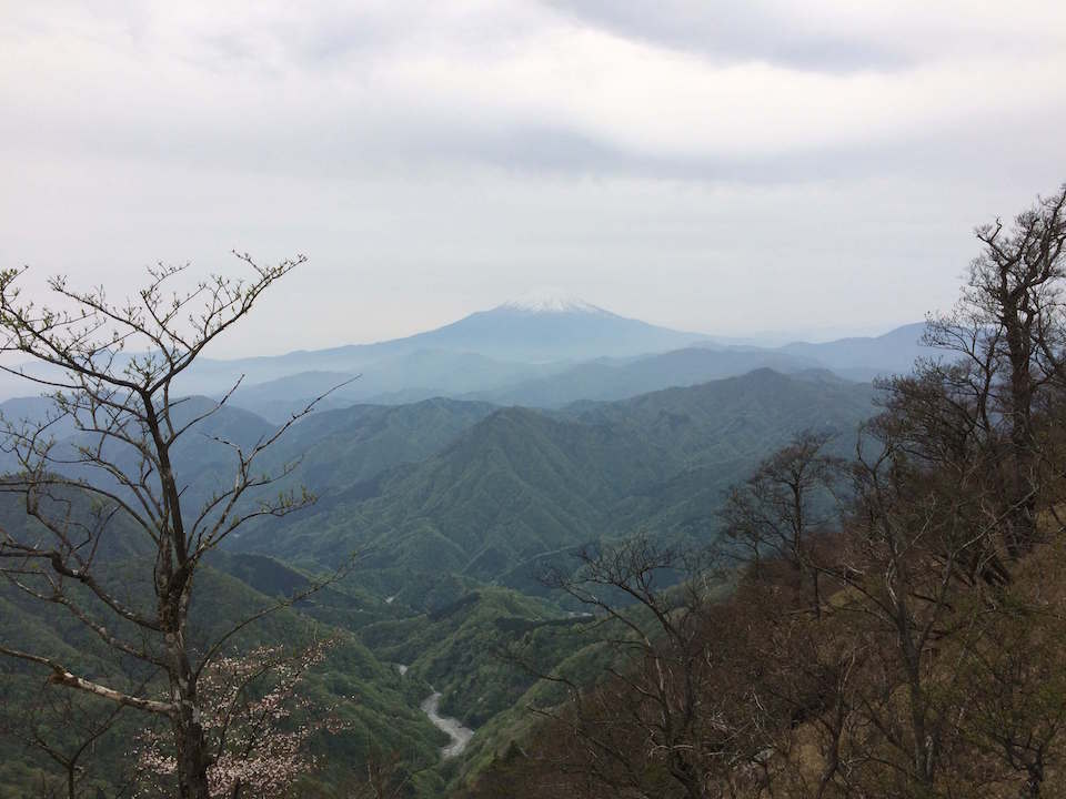 檜洞丸から眺める富士山