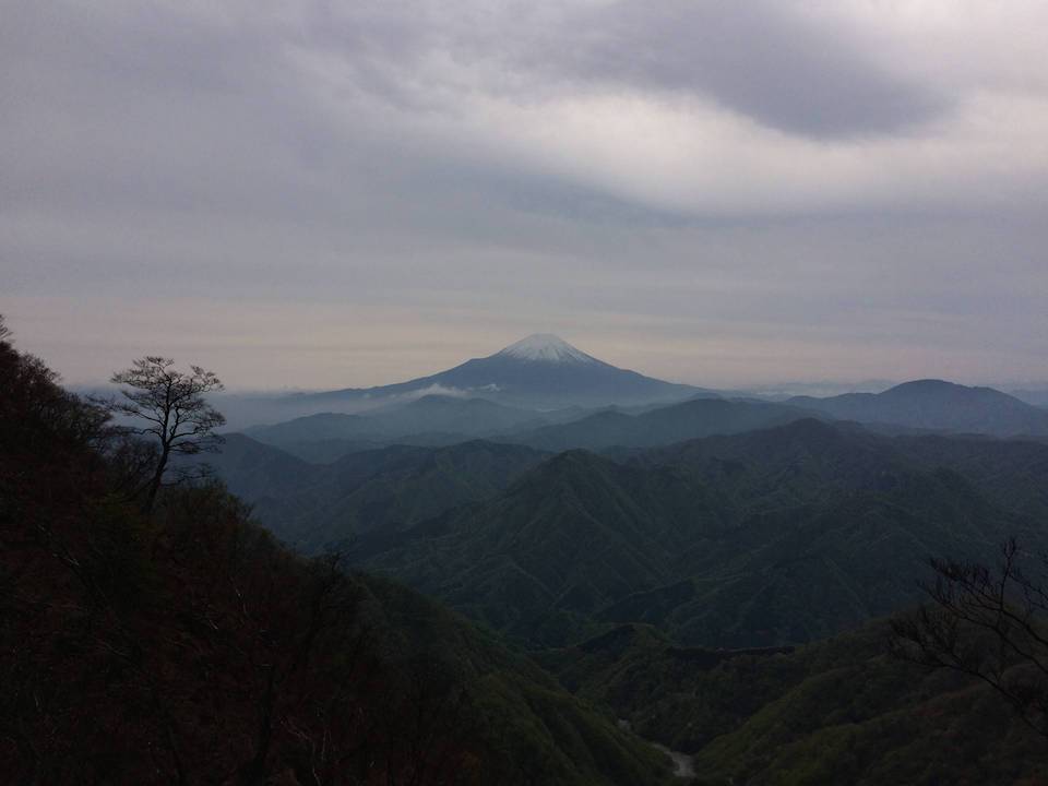 檜洞丸から見た富士山