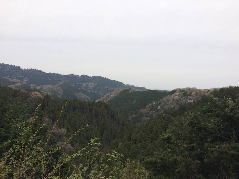 高尾山を眺める