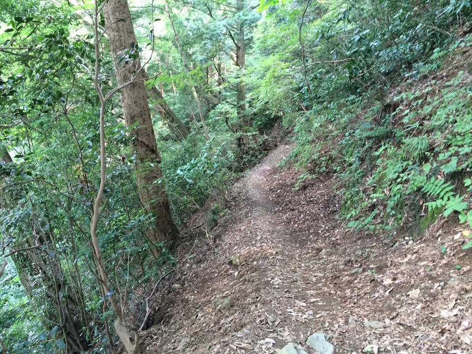 高尾山の蛇滝コース
