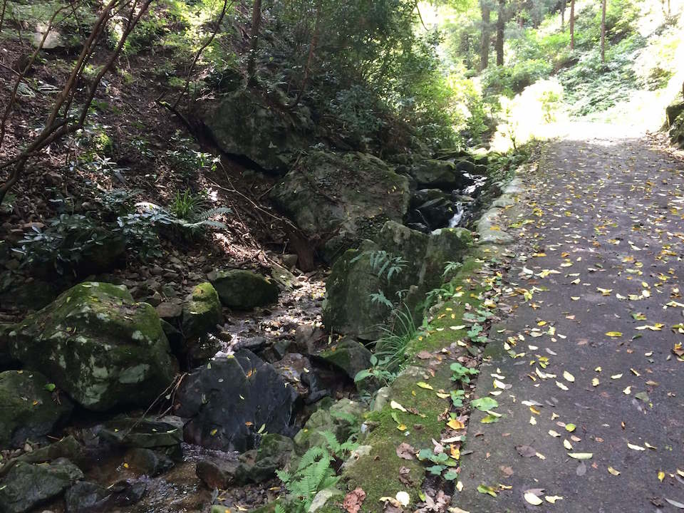 蛇滝口の林道