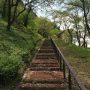 城山公園の階段